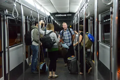 DSC_7451 (Large).JPG